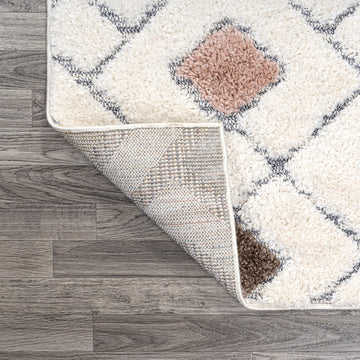 Astrid Retro Trellis High-low Area Rug